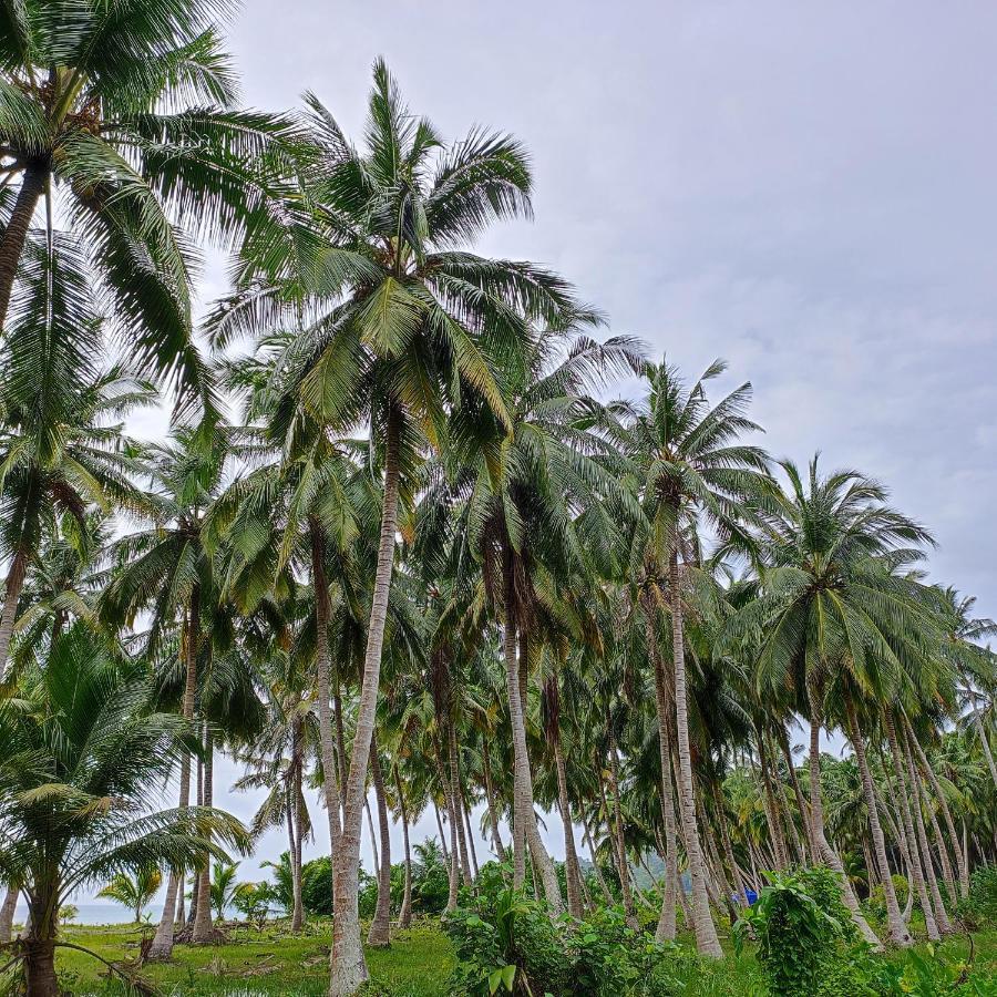 Honey Moon Beach Resort ANDAMAN AND NICOBAR ISLANDS Eksteriør bilde